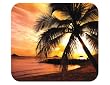 HandStands Palm Sunset Deluxe Mouse Mat