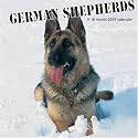 German Shepherds 2008 Wall Calendar
