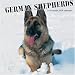 German Shepherds 2008 Wall Calendar