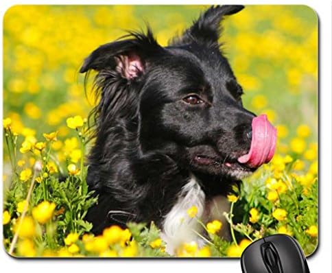 Dog Licks Tongue Mouse Pad, Mousepad (Dogs Mouse Pad)
