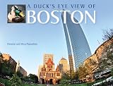 A Duck's Eye View of Boston