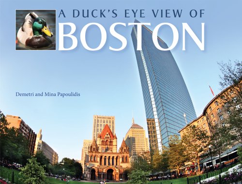 A Duck's Eye View of Boston