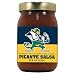 Notre Dame Fighting Irish NCAA Picante Salsa - 16oz