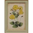 curtis blooms yellow #1