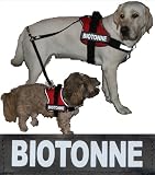 BIOTONNE 2xLogos groß weiß/reflektierend für Julius K9 / Logo Klettlogo Austauschlogo K-9 Powergeschirr + IDC (Geschirrgrößen: “1″, “2″, “3″ und “4″)