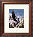 Freedom: Eagle in Flight Religion & Philosophy Framed Art Poster Print by Don Balke, 18x20