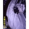 大地の富士山<br>大山 行男著　 <br>3780円<br>ISBN:9784635546522　