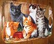 Serving Tray ~ Barn Cats ~ 18 inches x 12 inches ~ melamine plastic ~ code 158