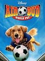 play video on Amazon Instant Video