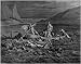 2.75inch x 2 inch (7.5cm x 5cm) Fridge Magnet Gustave Dore Dante The Styx Phlegyas