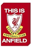LIVERPOOL Football Club - This is Anfield 15x22cm Photique Bloc