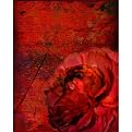 Ruby Peony on Red Abstract - 16 X 20"