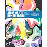 atlas of the human brain third edition