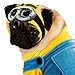 Despicable Me 2 Minion Pet Costume, X-Large