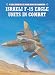 Israeli F-15 Eagle Units in Combat (Combat Aircraft)