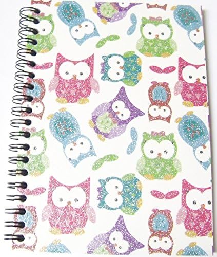 Hootin Good Time Spiral Notebook ~ Glittery Multicolored Owls (80 Sheets, 160 Pages; 5" x 7")