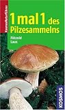 1 mal 1 des Pilzesammelns: Mit neuem Bestimmungsschlüssel