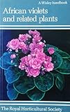 African violets and related plants