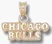 Chicago Bulls 1/4