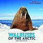 Walruses of the Arctic (Brrr! Polar Animals)