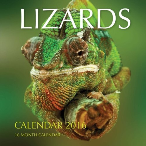 Lizards Calendar 2016: 16 Month Calendar