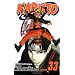 The Secret Mission (Naruto, Vol. 33)