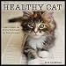 Healthy Cat: A Year of Healthy Tips for Your Furry Friends 2012 Wall Calendar