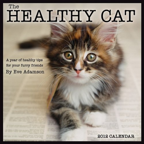 Healthy Cat: A Year of Healthy Tips for Your 