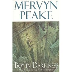 Boy in Darkness