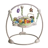 Fisher Price Precious Planet Jumperoo - Khaki Sands