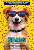 Bingo By Unknown. ART PRINT ON CANVAS with 3/4 inch deep bars. Size: 11 x 17 Inches