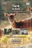 Produkt-Bild: Tiere im Wald