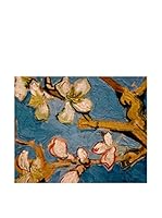 Especial Arte Lienzo Amandelbloesem Multicolor