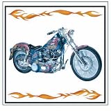 Expressions Easy Rider Shower Curtain