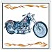 Expressions Easy Rider Shower Curtain
