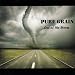 Pure Grain - "Truckin Song" feat. Dave Barnes on slide guitar