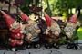 Terrapin Trading, C5/TDE-MGA4, Garden Gnome Quartet  Mixed Assortment Set of Four