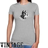 NCAA Wofford Terriers Ladies Ash Distressed Logo Vintage Slim Fit T-shirt