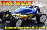 Review Nitro  / 1:16 Fire Wolf Brushless Electric Radio Controlled Buggy