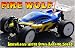 1:16 Fire Wolf Brushless Electric Radio Controlled Buggy