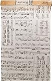 Tim Holtz Idea-ology District Market Tissue Wrap Paper Roll: Composer