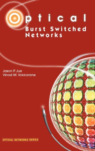 Optical Burst Switched Networks (Optical Networks)