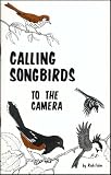 Calling Songbirds: To the Camera