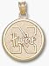 Univ Of Nebraska N Huskers Round Charm/Pendant -14K/10K, Stainless Steel or Gold Plated