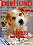 Der Hund