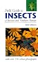 FIELD GUIDE TO INSECTS OF BRITAIN AND NORTHERN EUROPE