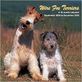 Wire Fox Terriers 2010 Wall Calendar