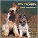 Wire Fox Terriers 2010 Wall Calendar