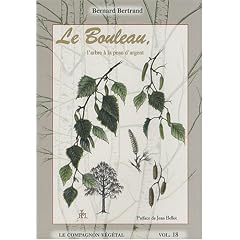Le Bouleau, l'arbre � la peau d'argent