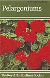 Pelargoniums